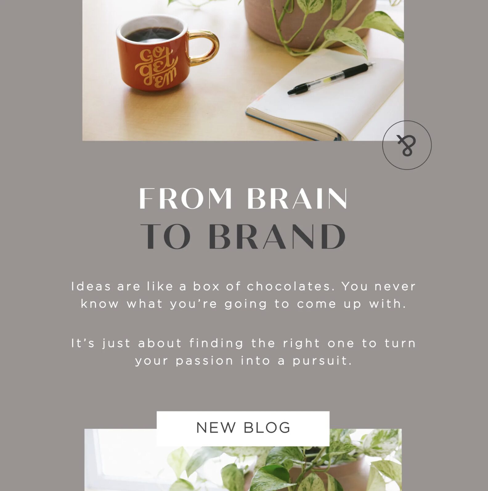 From Brain to Brand